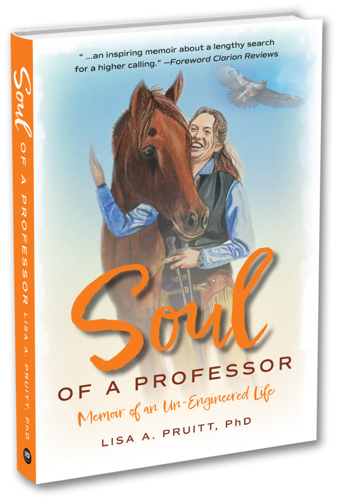lisa pruitt soul of a professor 3D cover revised